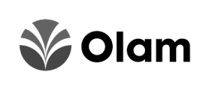 image-removebg-preview-16